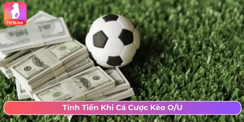 Cách tính khi cược kèo TX 