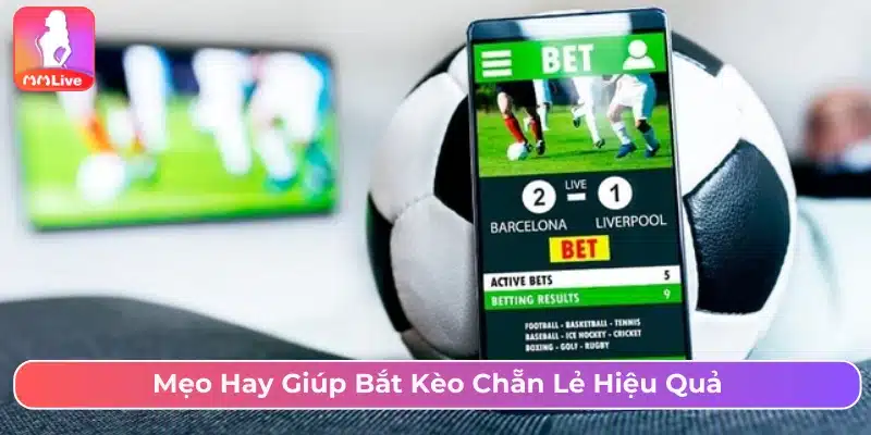 Bí kíp bắt kèo chẵn lẻ hiệu quả 