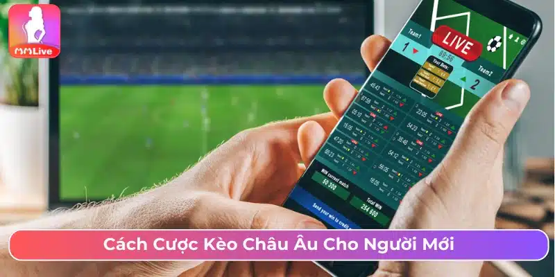Cách cược kèo bóng đá khi chơi kèo châu Âu cho người mới 