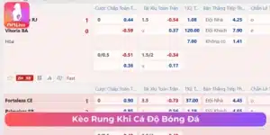 Khám phá kèo rung khi chơi cá độ bóng đá 