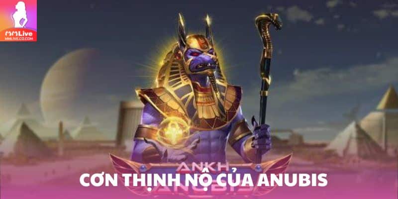 con thinh no cua anubis