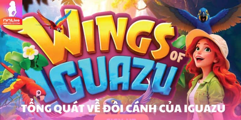 Tổng quát về đôi cánh của Iguazu