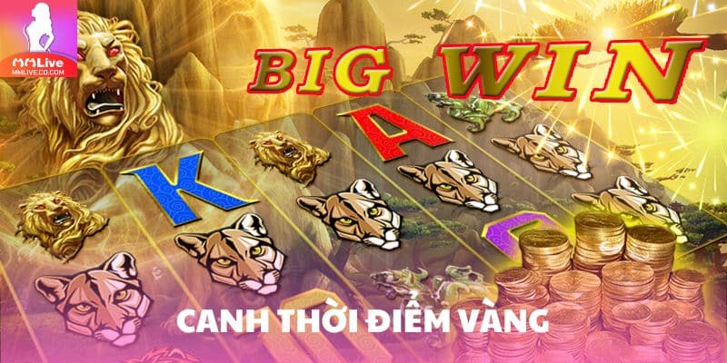 Hổ May Mắn – Game Nổ Hũ Săn Thưởng Cực Đỉnh Không Thể Bỏ Lỡ Chọn khung giờ ít người chơi