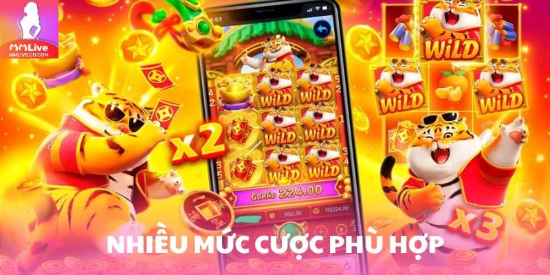 Hổ May Mắn – Game Nổ Hũ Săn Thưởng Cực Đỉnh Không Thể Bỏ Lỡ Đa dạng mức cược