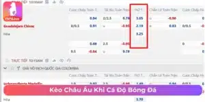 Tìm hiểu về cách chơi kèo châu Âu khi cá độ bóng đá 
