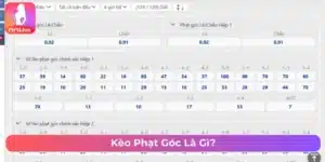 Kèo phạt góc dự đoán những pha bóng đá từ góc 