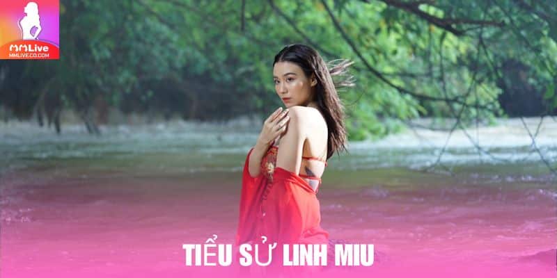 Linh Miu lộ clip là người nổi tiếng trên mạng xã hội Việt kể từ những năm 2012