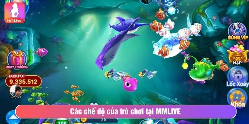 Các chế độ của trò chơi tại MMLIVE 