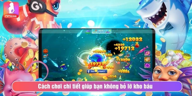 Cách chơi chi tiết giúp bạn không bỏ lỡ kho báu 