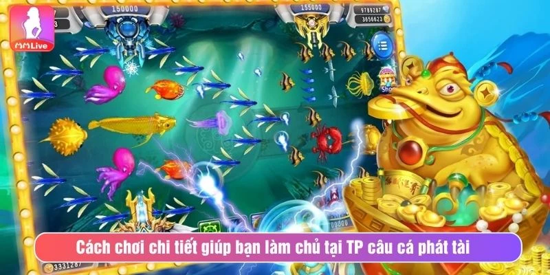 Tham Gia TP Câu Cá Phát Tài Cá Cược Giải Trí Đỉnh Cao Cách chơi chi tiết giúp bạn làm chủ tại TP câu cá phát tài