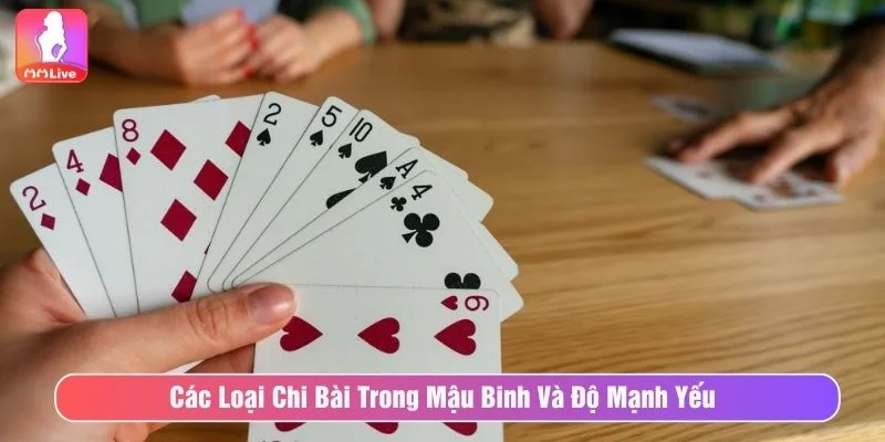 Tìm hiểu về các chi trong bài mậu binh