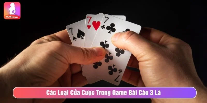 Trò chơi có nhiều cửa cược đa dạng