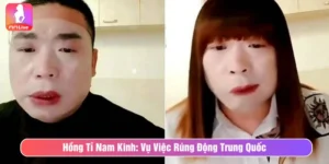 Hồng Tỉ Nam Kinh