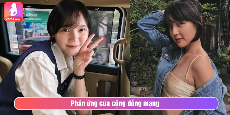 Phản ứng của cộng đồng mạng về sự việc Hải tú lấy sách che