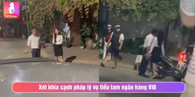 Xét khía cạnh pháp lý vụ việc tiểu tam VIB